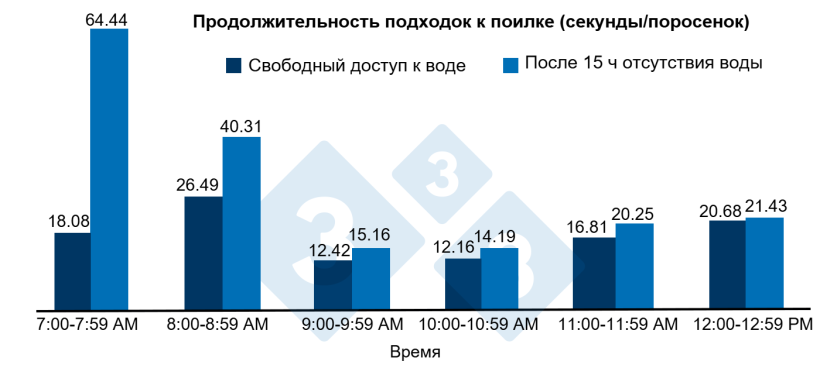 Рисунок 2. Продолжительность подходов к поилке после 15 ч отсутствия воды или при свободном&nbsp;доступе&nbsp;к воде.
